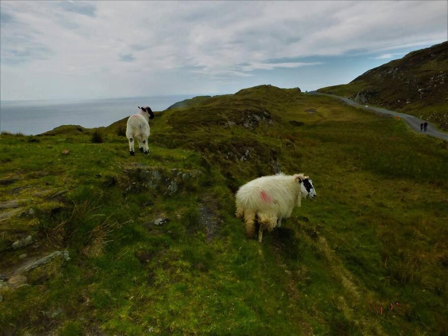 The Cosy Farm Cottage, Donegal Inver Esterno foto